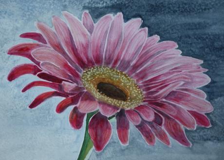 Gerbera - Kristina Thome - Array auf Array - Array - Array Gerbera - Kristina Thome - Array auf Array - Array - Array