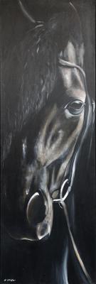 Filou - Marion Schäfter - Array auf Array - Array - Array Filou - Marion Schäfter - Array auf Array - Array - Array