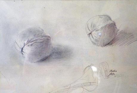 Studie Walnüsse - Kristin Gräfin von Montfort - auf - Array - Studie Walnüsse - Kristin Gräfin von Montfort - auf - Array -