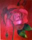 Rose - A. Eykman - Aquarell auf Leinwand - Blumen-Rosen - Rose - A. Eykman - Aquarell auf Leinwand - Blumen-Rosen -
