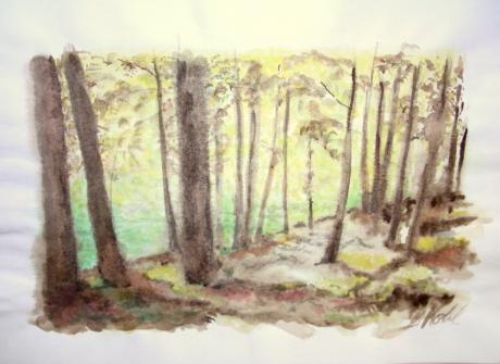 Herbst--- - Bernd Kohl - Array auf Array - Array - Array Herbst--- - Bernd Kohl - Array auf Array - Array - Array