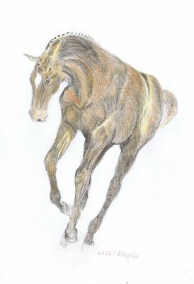 Fröhliches Fohlen - Claudia Lüthi - Array auf - Array - Array Fröhliches Fohlen - Claudia Lüthi - Array auf - Array - Array