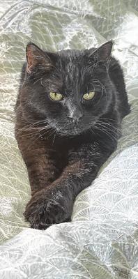 Betty in bed - dunjate Kunst in Acryl - Array auf Array - Array - Array Betty in bed - dunjate Kunst in Acryl - Array auf Array - Array - Array