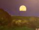 Mondlicht - Helene + Mario Wohlfahrt - Acryl auf Leinwand - Landschaft - Klassisch Mondlicht - Helene + Mario Wohlfahrt - Acryl auf Leinwand - Landschaft - Klassisch